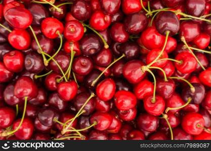 Red Cherries. Cherry selection. ripe berries cherries