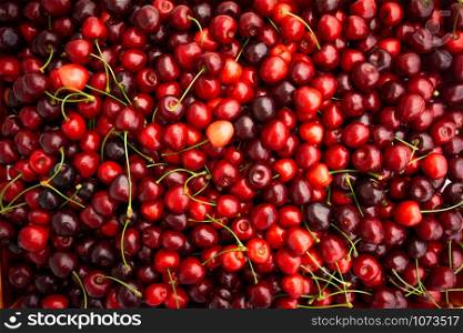 Red Cherries. pile of ripe cherries with stalks.