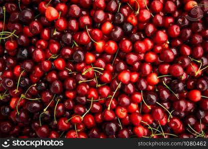 Red Cherries. pile of ripe cherries with stalks.