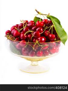 red cherry on a white background