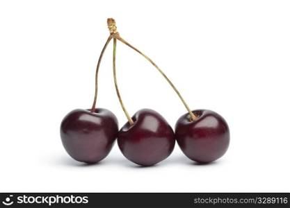 Red cherry triplets on stalks on white background