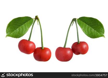 red cherry with leaves isolated on white