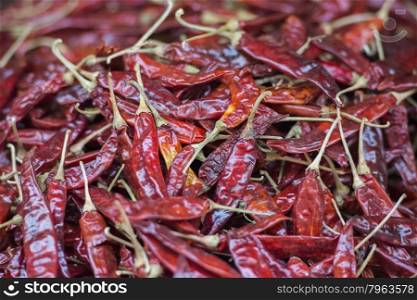 red chili at the morning Market in Nothaburi in the north of city of Bangkok in Thailand in Southeastasia.. ASIA THAILAND BANGKOK NOTHABURI MORNING MARKET