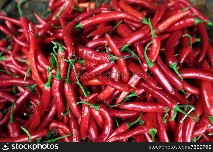 red chili at the Talat Warorot in the city of chiang mai in the north of Thailand in Southeastasia. &#xA;&#xA;&#xA;