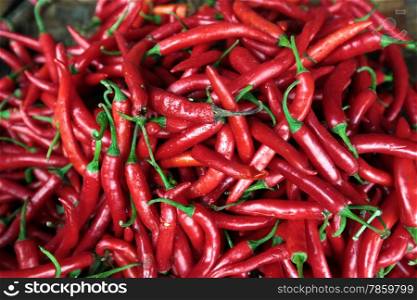 red chili at the Talat Warorot in the city of chiang mai in the north of Thailand in Southeastasia. &#xA;&#xA;&#xA;
