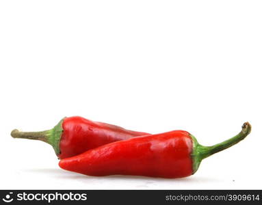 Red chili pepper