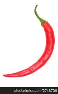 red chili pepper isolated on white