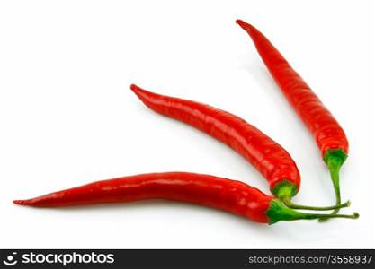 Red Chili Pepper Isolated on White Background