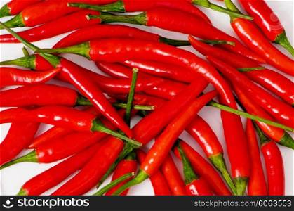 Red chili peppers arranged at the background