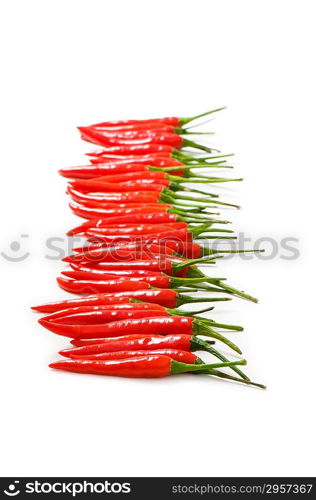 Red chili peppers isolated on the white