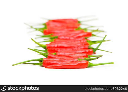 Red chili peppers isolated on the white