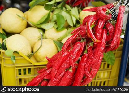 Red chili peppers with guavas at a market stall, Sorrento, Sorrentine Peninsula, Naples Province, Campania, Italy
