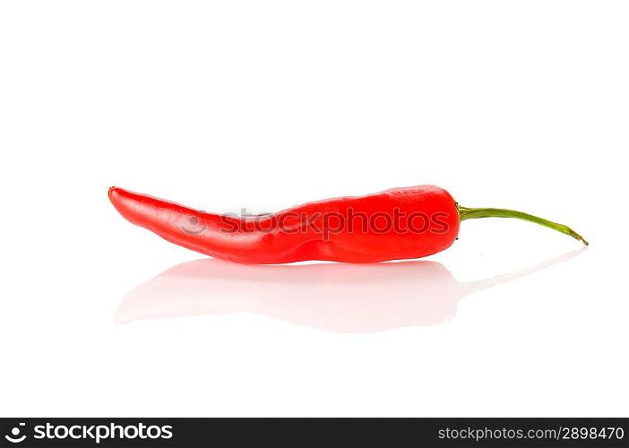 Red chilli over white