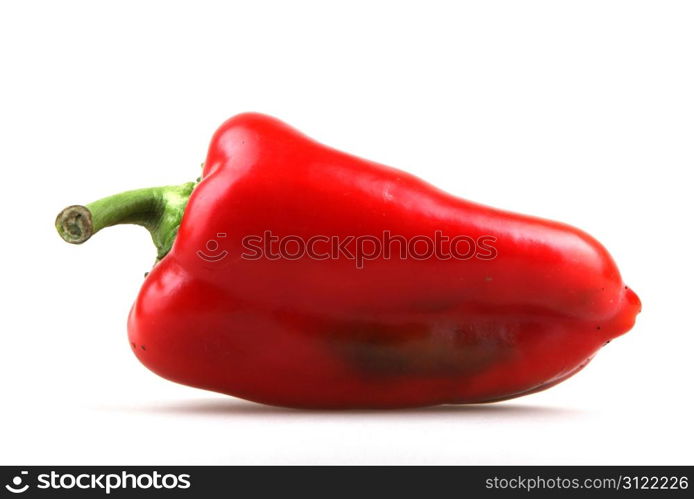 Red chilli peppers on white background.