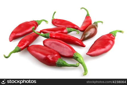 Red chilli peppers on white background.