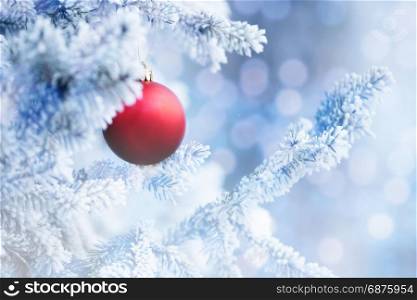 Red Christmas Ball Hanging on a Tree Branch in the Snow Winter Forest