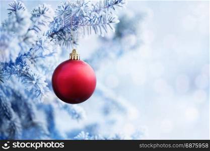 Red Christmas Ball Hanging on a Tree Branch in the Snow Winter Forest
