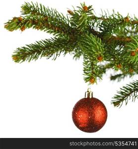 Red christmas ball on fir branch isolated on white background