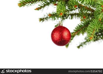 Red christmas ball on fir branch isolated on white background