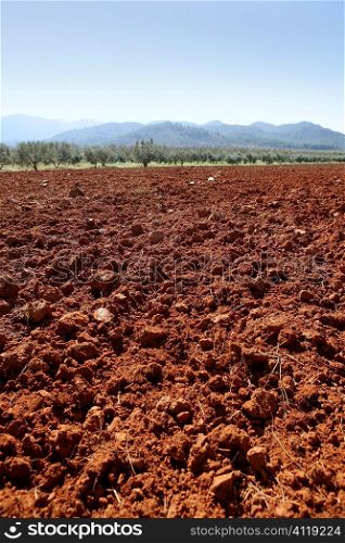 Red clay soil texture on a sunny morning