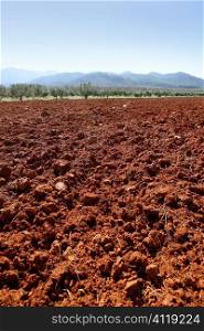 Red clay soil texture on a sunny morning