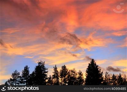 red clouds at sunset above tree silhouettes on the Lake Tahoe California