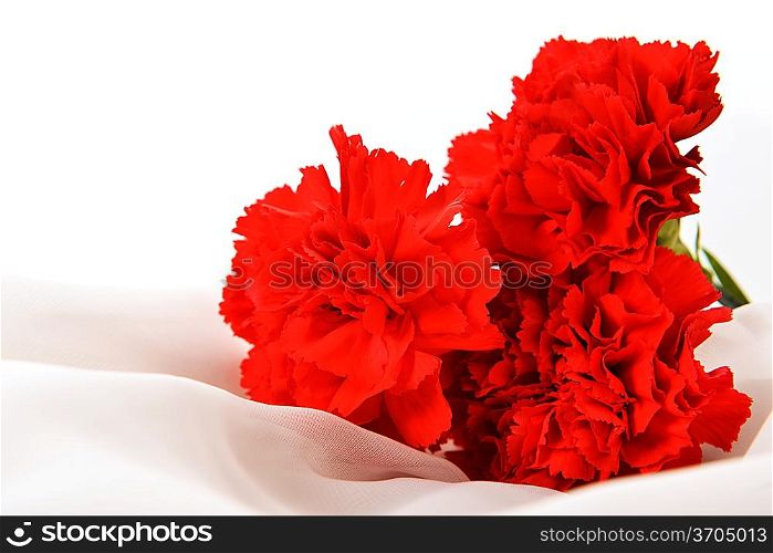red cloves on white silk isolated