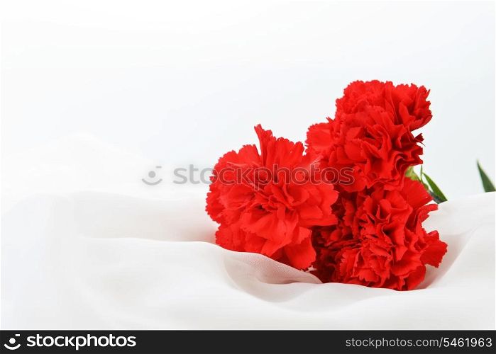 red cloves on white silk isolated