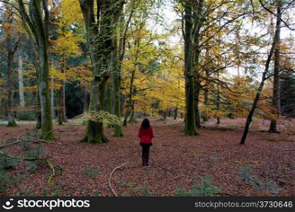 Red Coat girl contrasting autumn colours in the forest