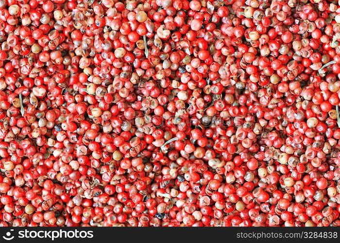 red colored background of oriental spice - pepper