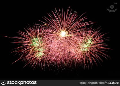 Red colorful fireworks on the black sky background