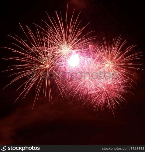 Red colorful fireworks on the black sky background