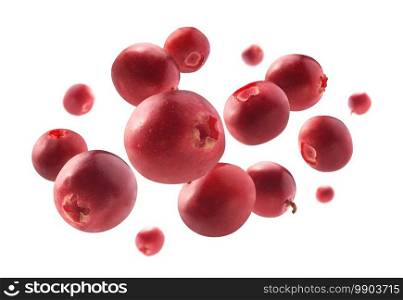Red cranberry berries levitate on a white background.. Red cranberry berries levitate on a white background