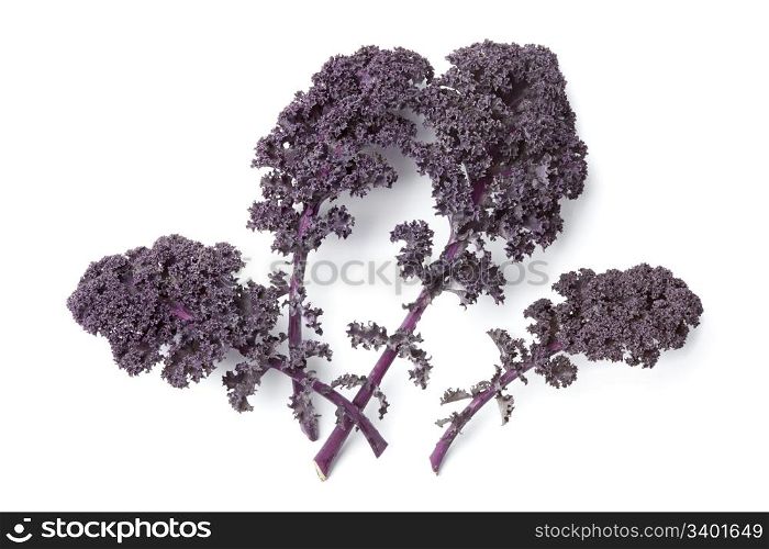 Red curly kale leaves on white background