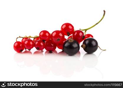 Red currant, blackberry berries isolated on a white background