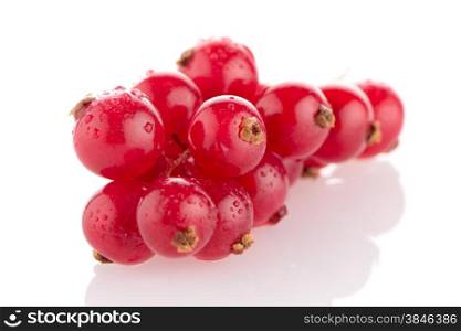 Red Currant close up on white background.