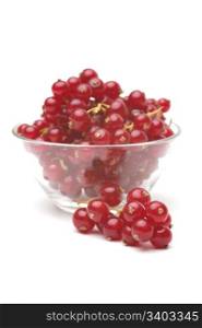 Red currant. Red currant in a glass bowl