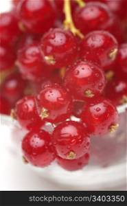 Red currant. Red currant in a glass bowl, close-up shot