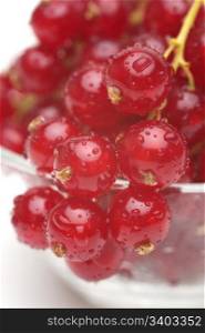 Red currant. Red currant in a glass bowl, close-up shot