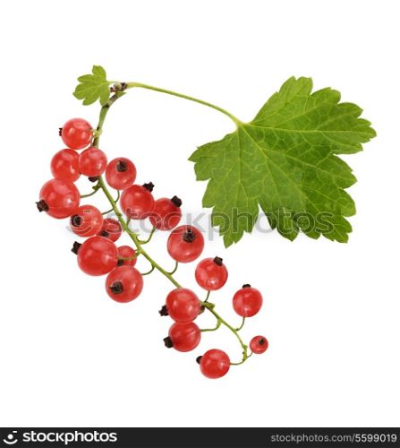 Red Currant With Leaves, Isolated On White Background