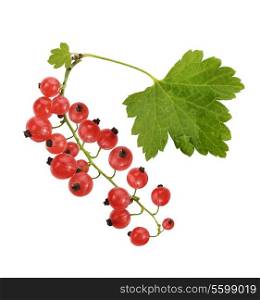 Red Currant With Leaves, Isolated On White Background