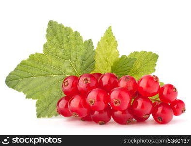 Red currants and green leaves still life isolated on white background cutout