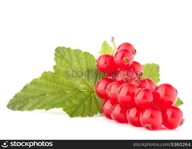 Red currants and green leaves still life isolated on white background cutout