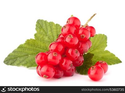 Red currants and green leaves still life isolated on white background cutout