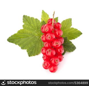 Red currants and green leaves still life isolated on white background cutout