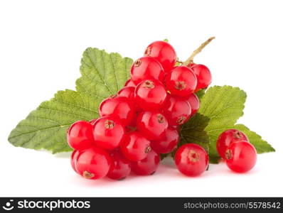 Red currants and green leaves still life isolated on white background cutout