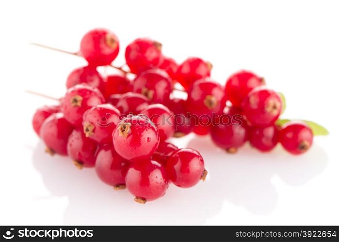 Red Currants close up on white background.