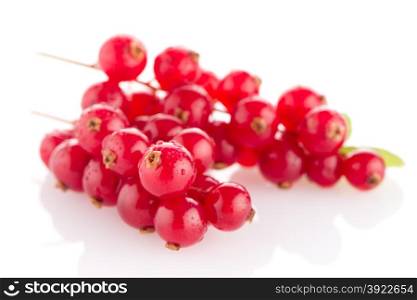 Red Currants close up on white background.