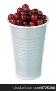Red currants in a white plastic cup isolated on white background