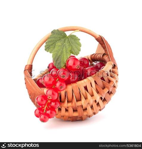 Red currants in basket isolated on white background cutout